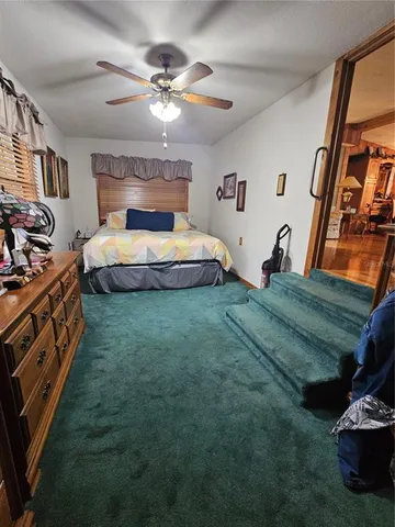 a view of a lush green forest with lots of trees