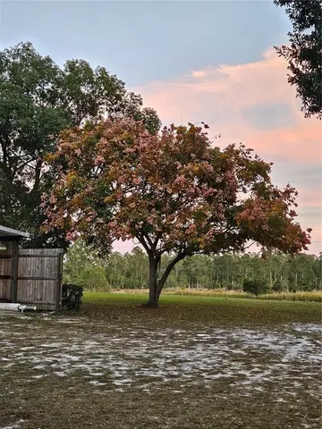 $303,000 | 29723 Fullerville Road, DeLand, FL 32720