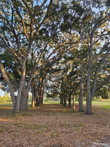 $303,000 | 29723 Fullerville Road, DeLand, FL 32720