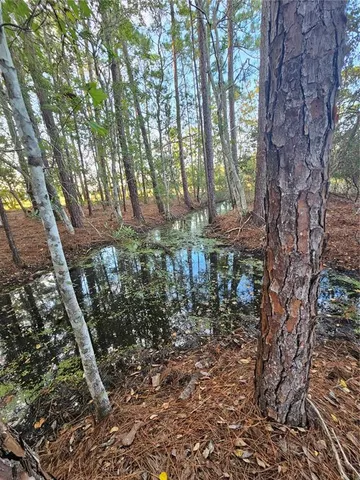 $303,000 | 29723 Fullerville Road, DeLand, FL 32720