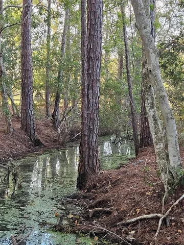 $303,000 | 29723 Fullerville Road, DeLand, FL 32720