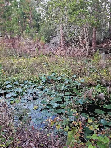 $303,000 | 29723 Fullerville Road, DeLand, FL 32720