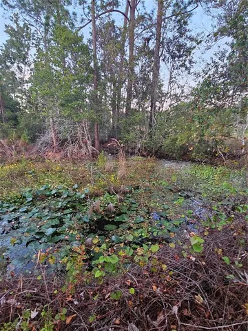 $303,000 | 29723 Fullerville Road, DeLand, FL 32720