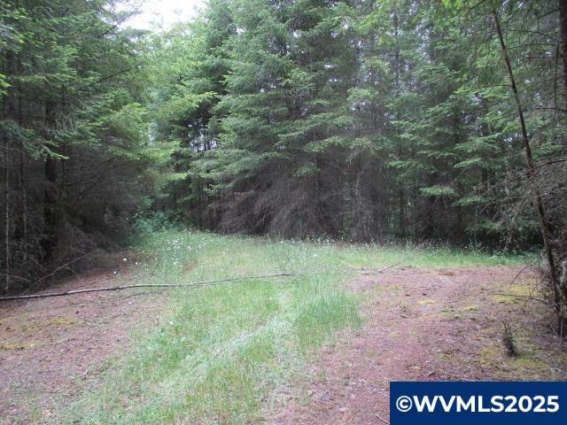 0 Gruber South Road Estacada, OR 97023 - Photo 21 of 30