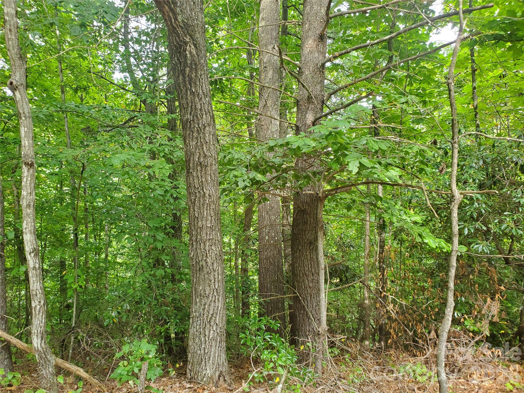 3024 Pearson Mountain Road Boomer, NC 28606 - Photo 23 of 39 Gallery Image 23