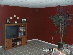 1628 Brenda Court Springfield, IL 62702 - Photo 11 of 19