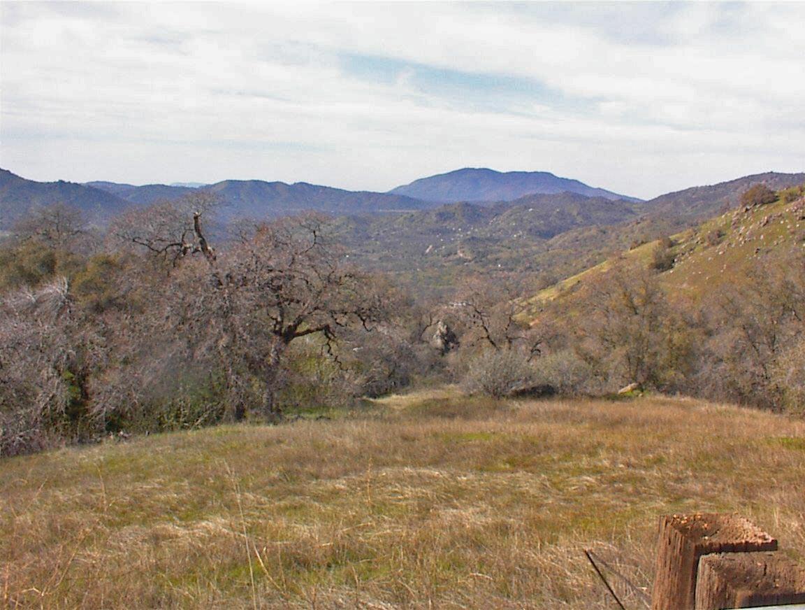 27 Iris Road Squaw Valley, CA 93675 - Photo 11 of 19 Gallery Image 11