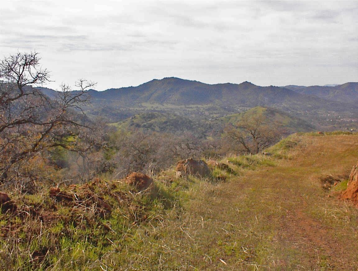27 Iris Road Squaw Valley, CA 93675 - Photo 14 of 19 Gallery Image 14