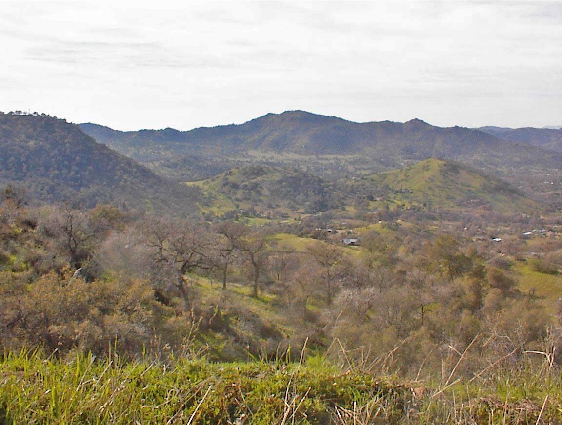 27 Iris Road Squaw Valley, CA 93675 - Photo 16 of 19 Gallery Image 16