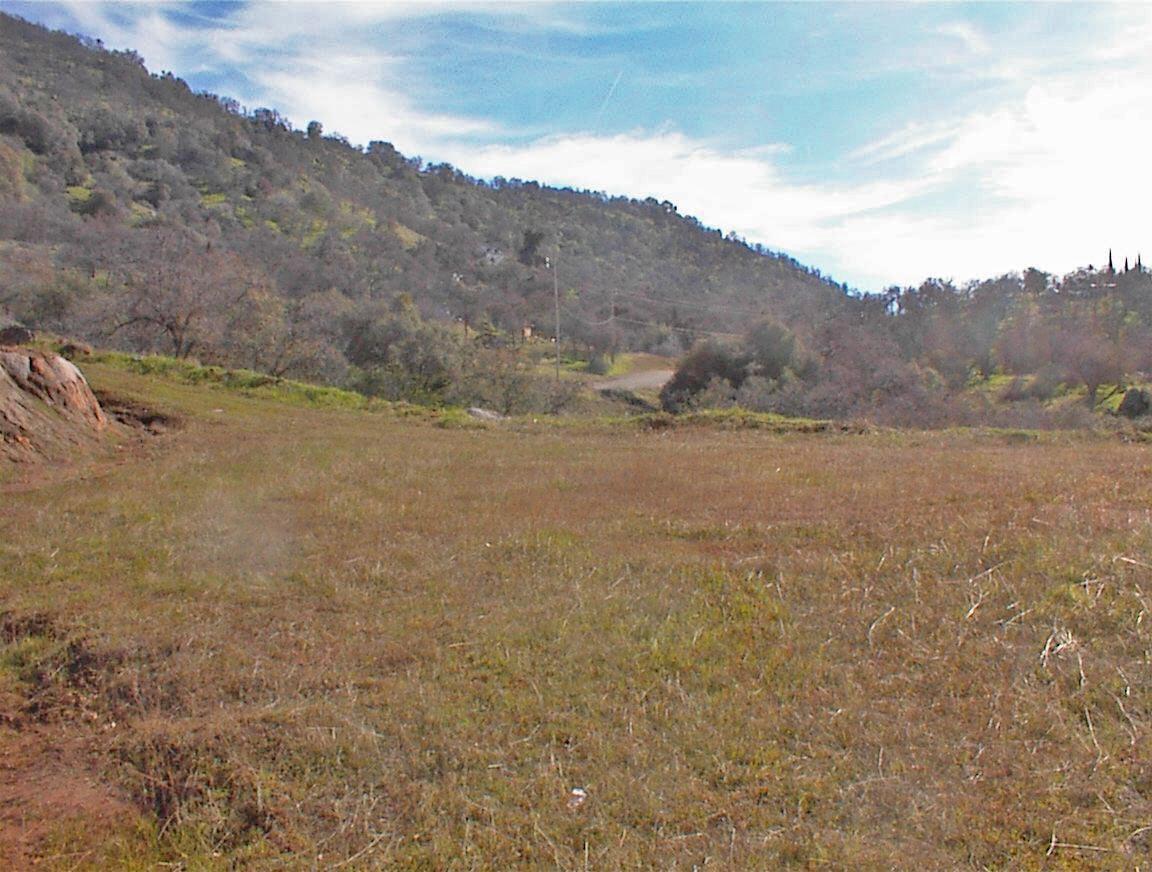 27 Iris Road Squaw Valley, CA 93675 - Photo 19 of 19 Gallery Image 19