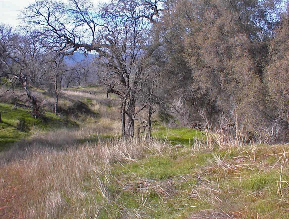 27 Iris Road Squaw Valley, CA 93675 - Photo 2 of 19 Gallery Image 2