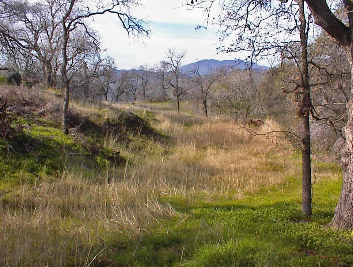 27 Iris Road Squaw Valley, CA 93675 - Photo 3 of 19 Gallery Image 3