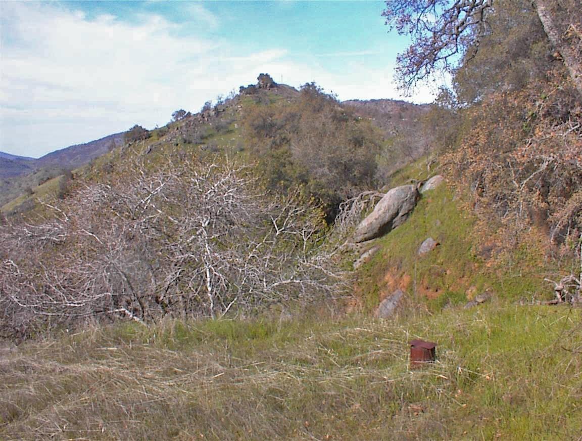 27 Iris Road Squaw Valley, CA 93675 - Photo 5 of 19 Gallery Image 5
