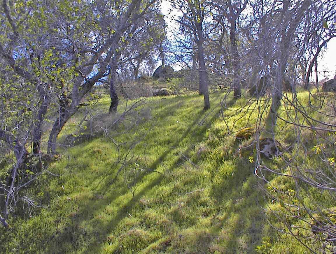 27 Iris Road Squaw Valley, CA 93675 - Photo 6 of 19 Gallery Image 6