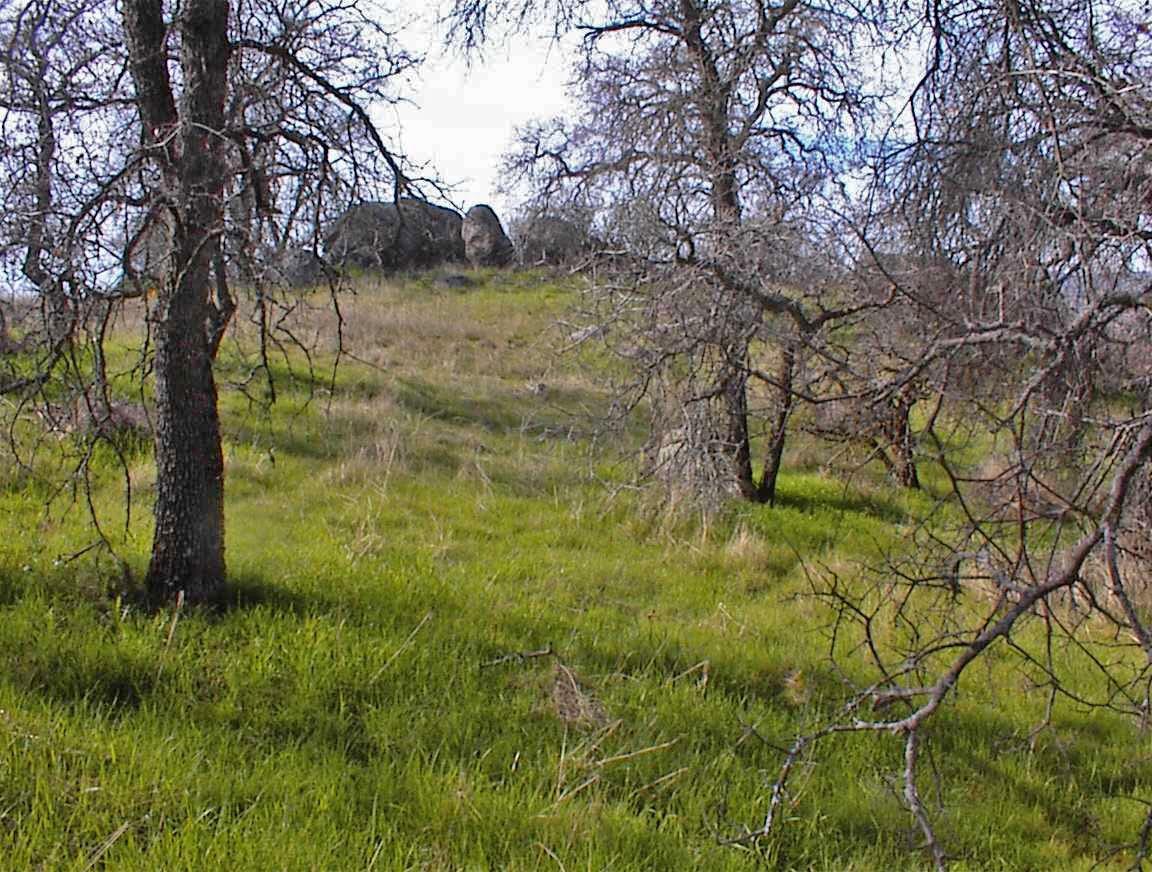 27 Iris Road Squaw Valley, CA 93675 - Photo 7 of 19 Gallery Image 7