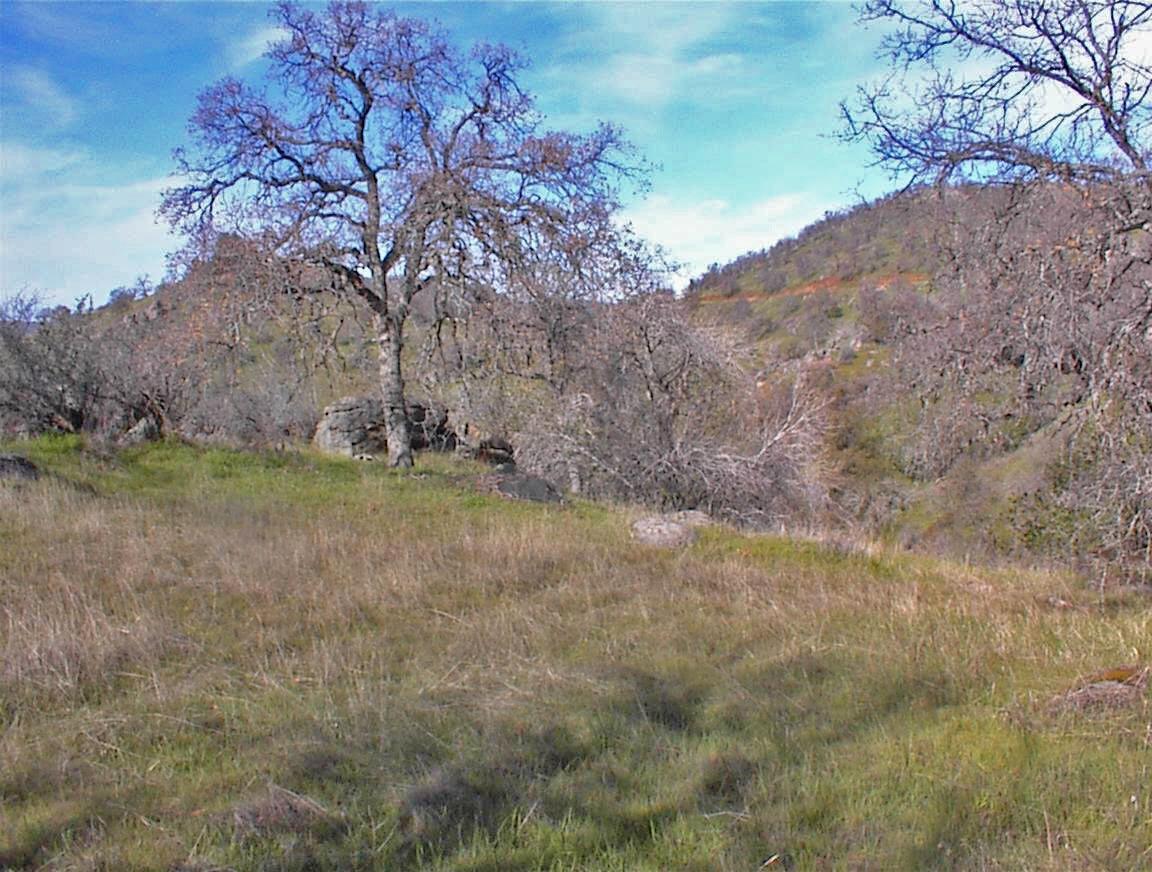 27 Iris Road Squaw Valley, CA 93675 - Photo 8 of 19 Gallery Image 8