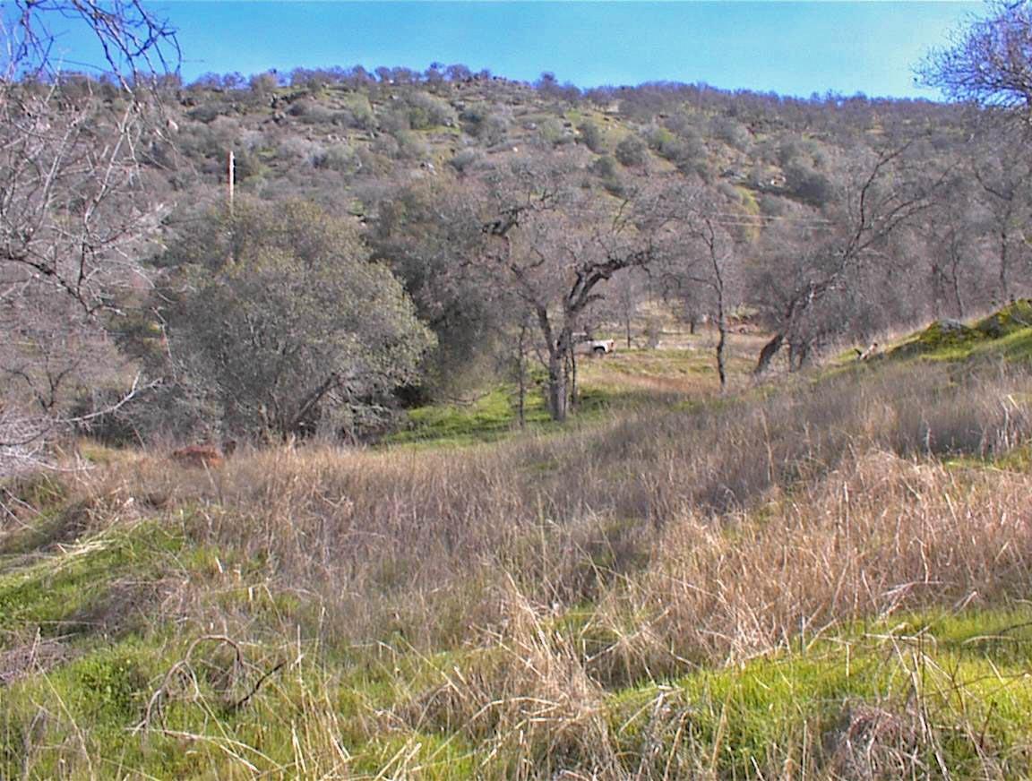 27 Iris Road Squaw Valley, CA 93675 - Photo 10 of 19 Gallery Image 10