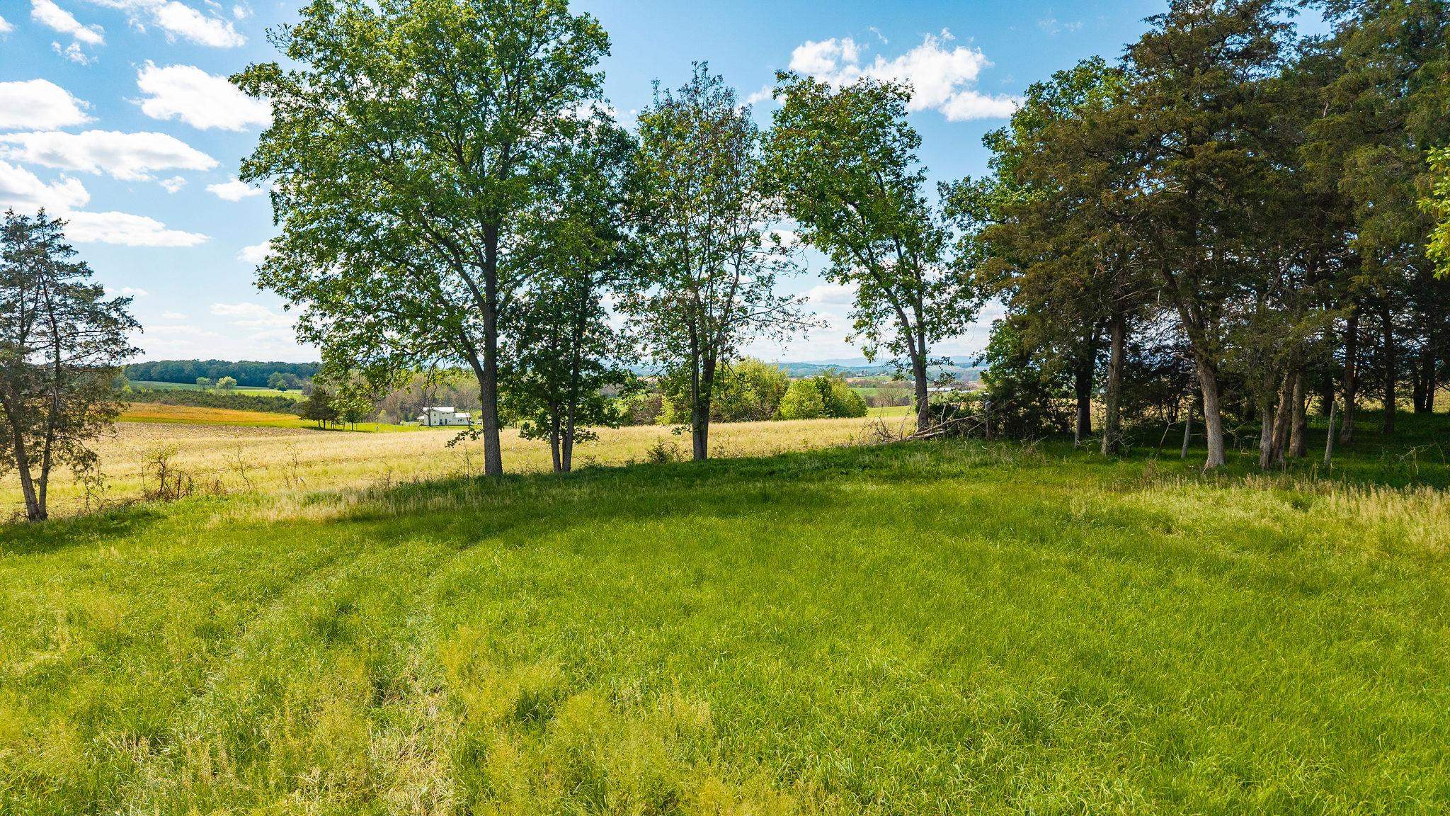 Tbd Hatchery Road Grottoes, VA 24441 - Photo 13 of 41