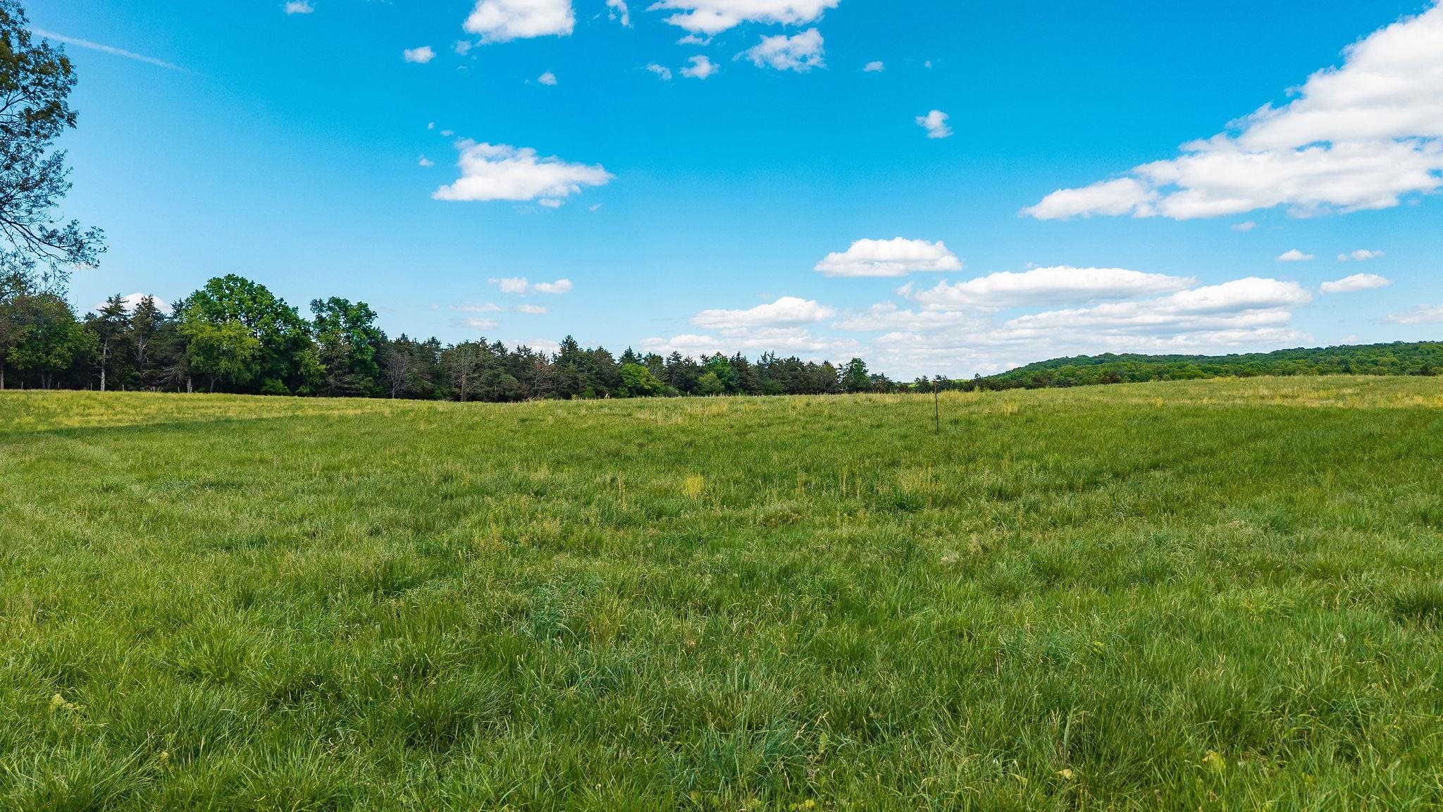 Tbd Hatchery Road Grottoes, VA 24441 - Photo 3 of 41