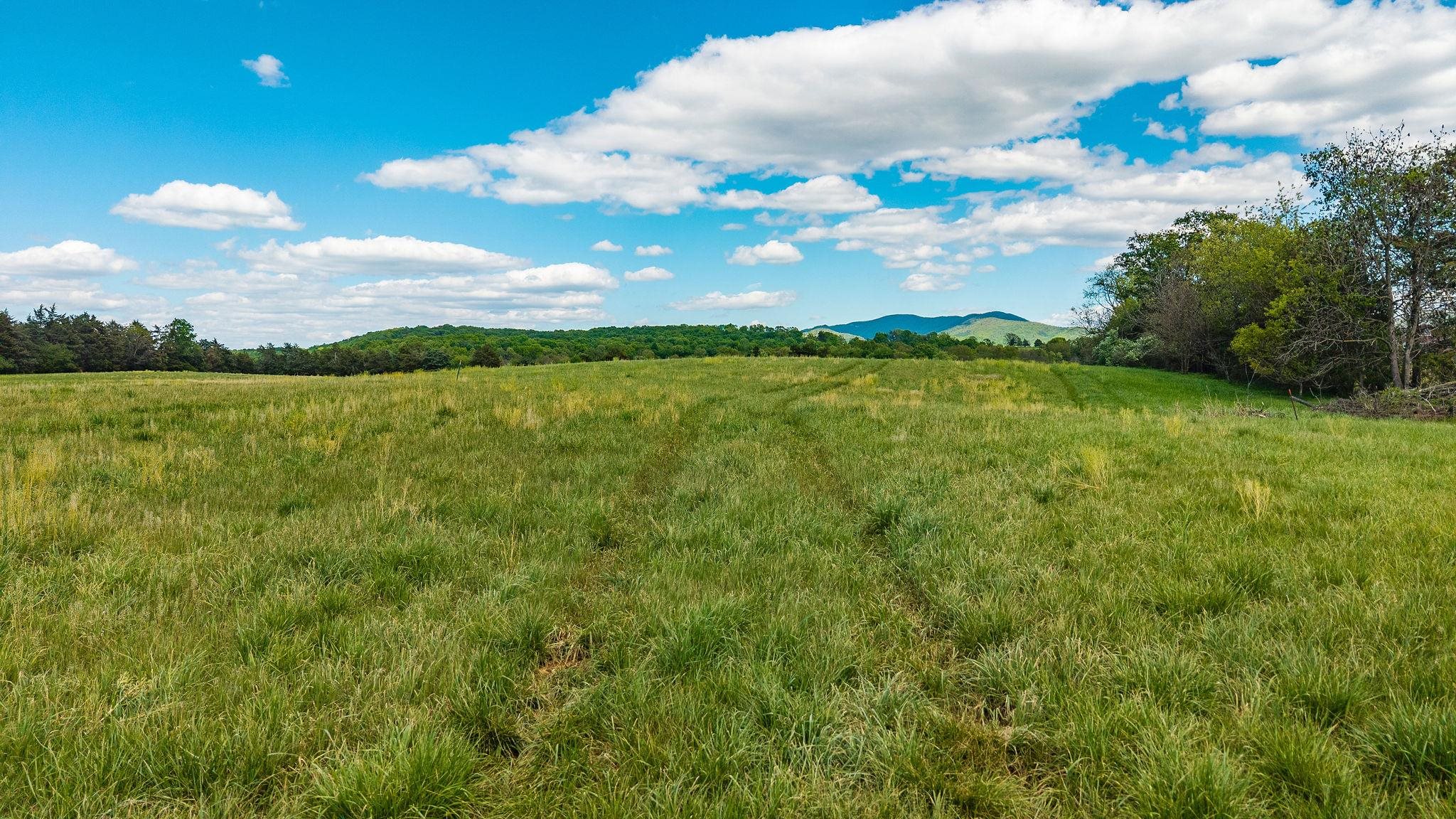 Tbd Hatchery Road Grottoes, VA 24441 - Photo 4 of 41