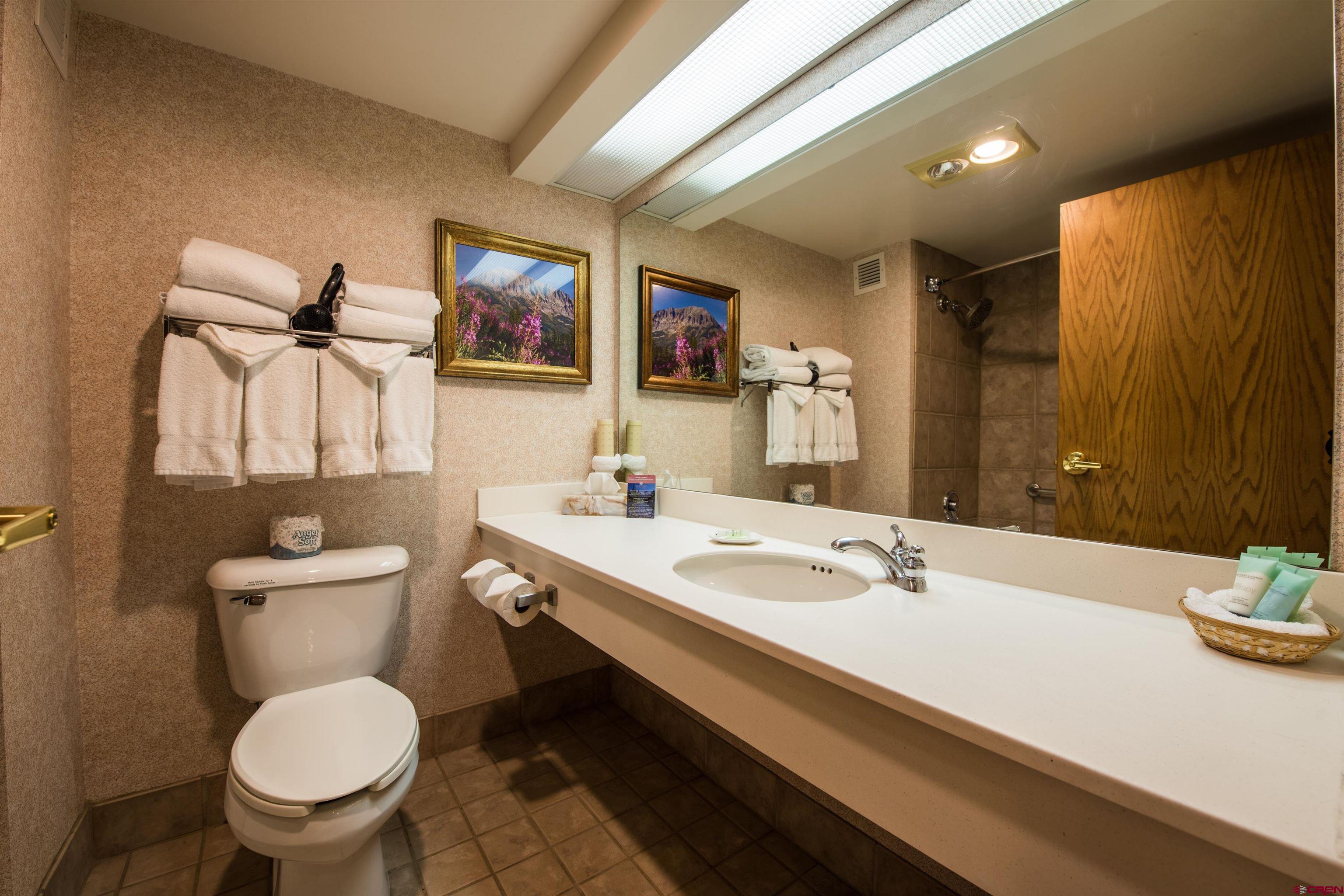6 Emmons Road, Unit 455 Crested Butte, CO 81225 - Photo 15 of 17 Gallery Image 15