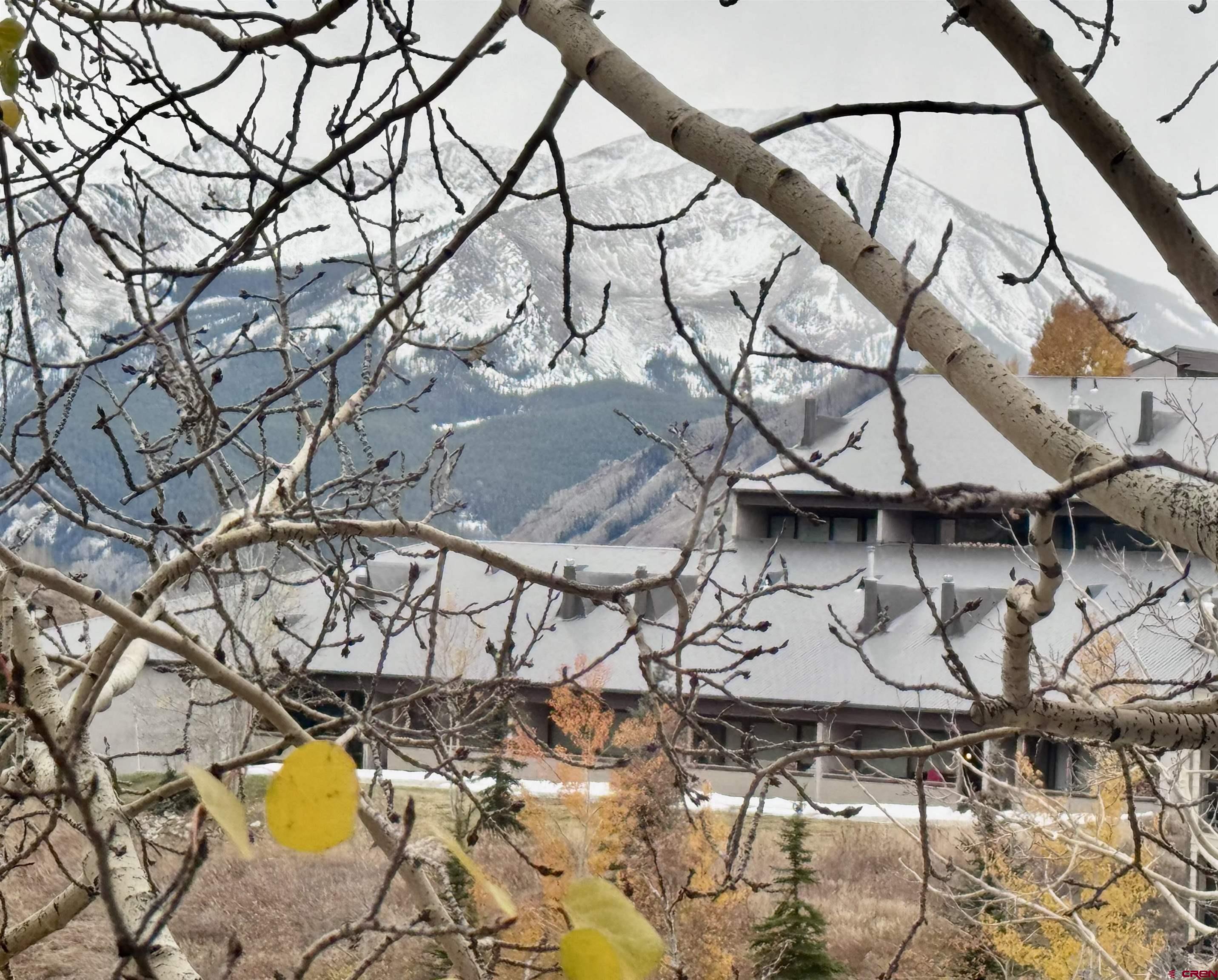 6 Emmons Road, Unit 455 Crested Butte, CO 81225 - Photo 16 of 17 Gallery Image 16