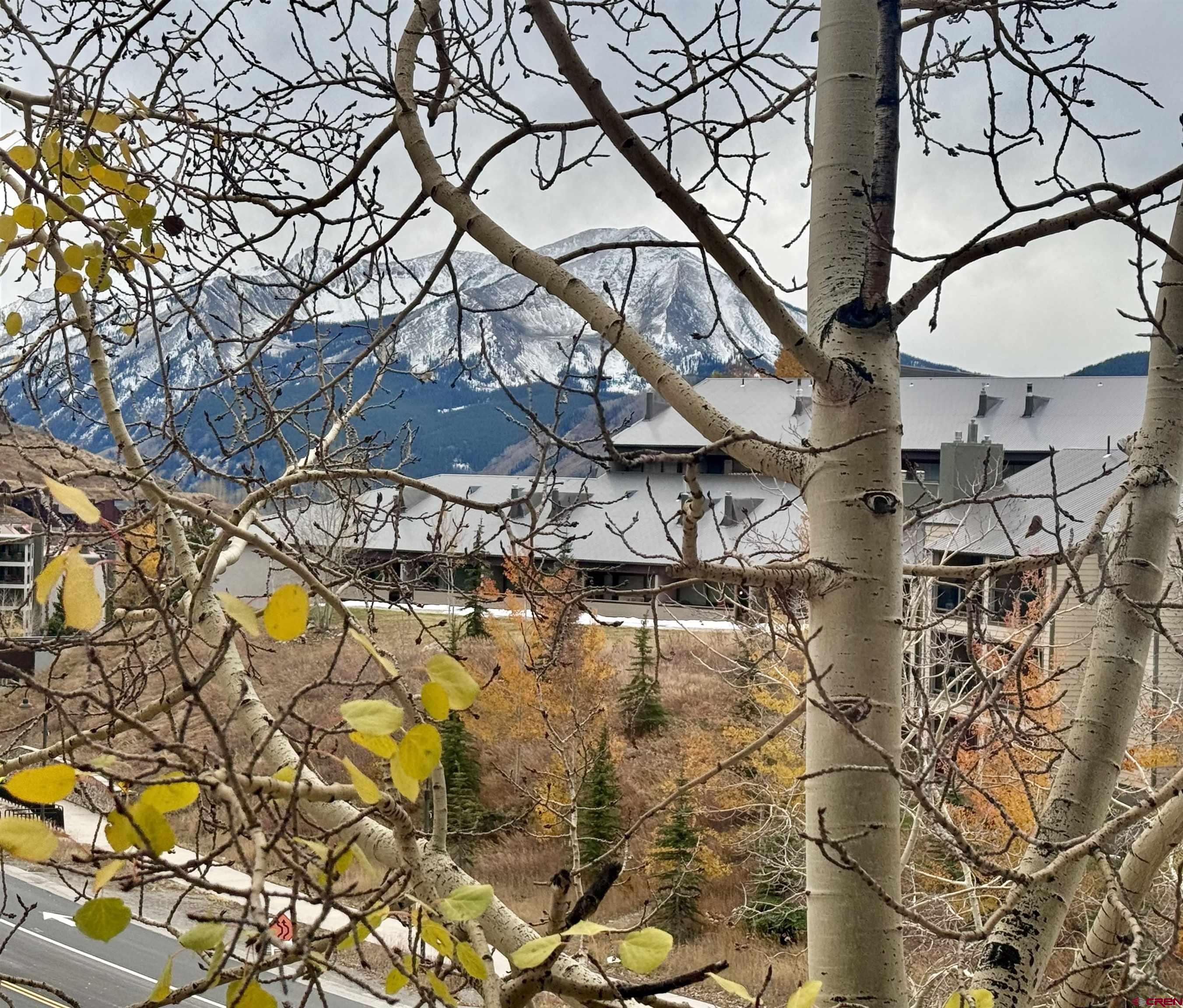 6 Emmons Road, Unit 455 Crested Butte, CO 81225 - Photo 17 of 17 Gallery Image 17
