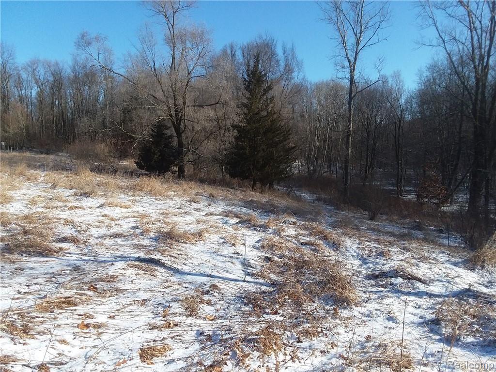 11270 Rathbon Road Byron, MI 48418 - Photo 11 of 13 Rathbon NE.jpg