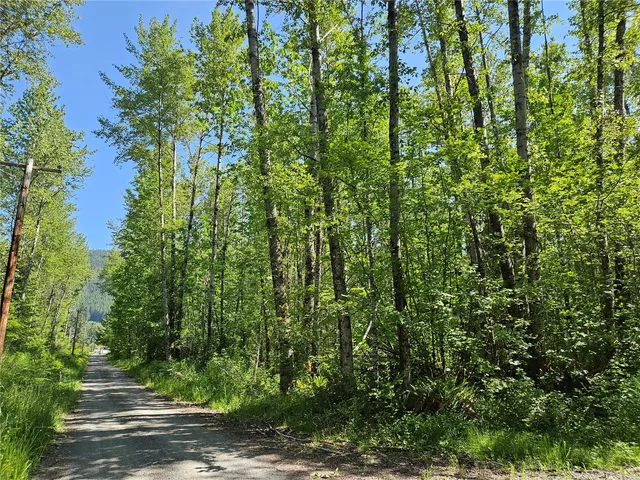 $360,000 | 0 Park Junction Road East, Elbe, WA 98330