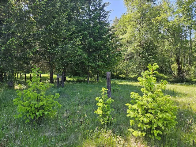 $360,000 | 0 Park Junction Road East, Elbe, WA 98330