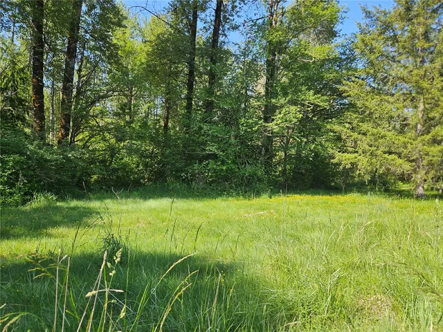 $360,000 | 0 Park Junction Road East, Elbe, WA 98330