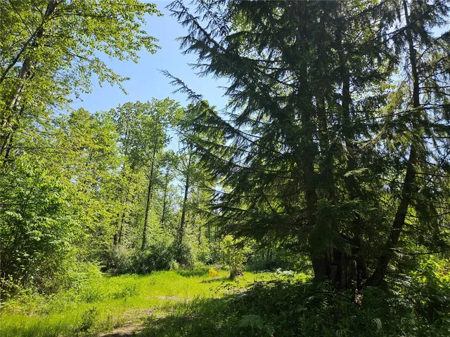 $360,000 | 0 Park Junction Road East, Elbe, WA 98330