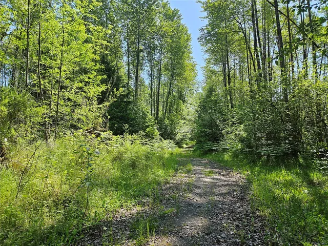 $360,000 | 0 Park Junction Road East, Elbe, WA 98330