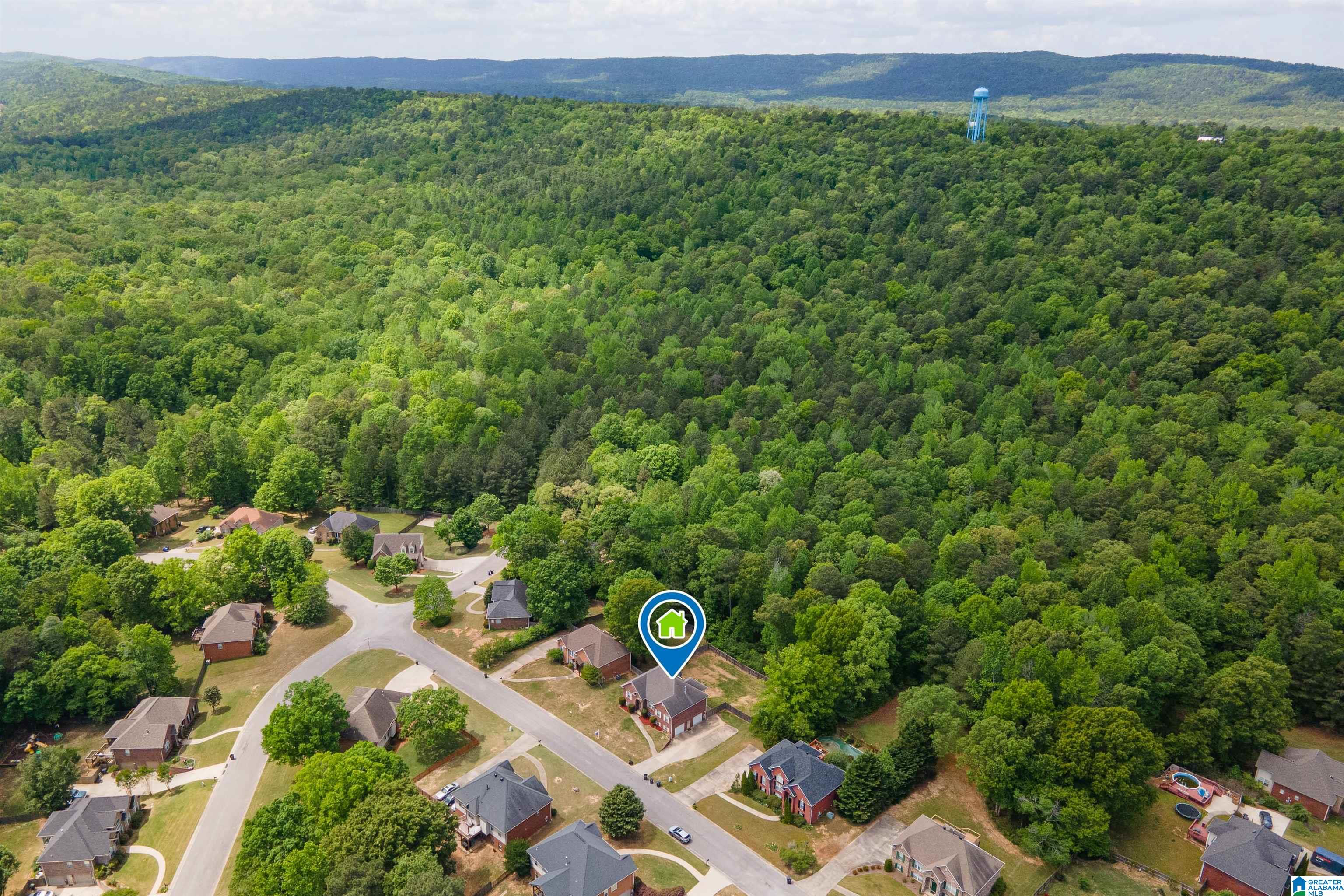 128 Magnolia Ridge Circle Chelsea, AL 35043 - Photo 53 of 57