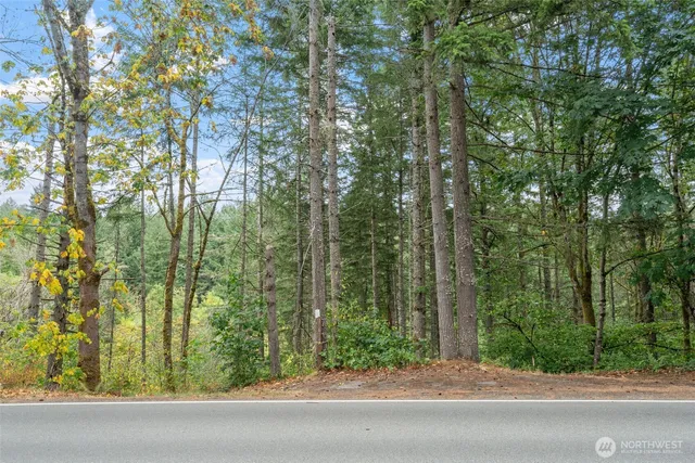 a view of a yard and trees