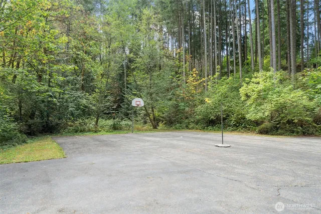 a view of a backyard