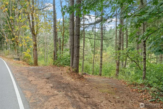 a view of a yard with large trees
