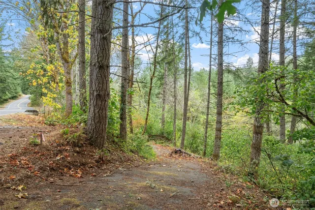 a backyard of a house with lots of green space