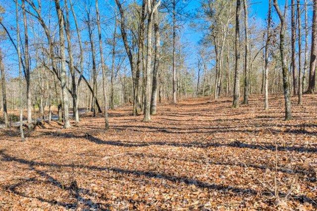 Parcel B Old Dibble Road Aiken, SC 29803 - Photo 14 of 17