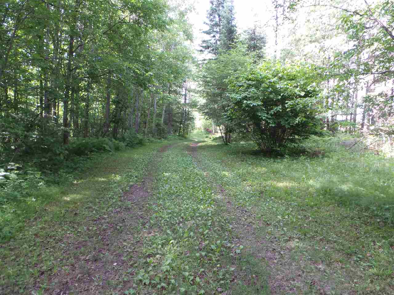 0 Old State Highway Prentice, WI 54556 - Photo 1 of 1