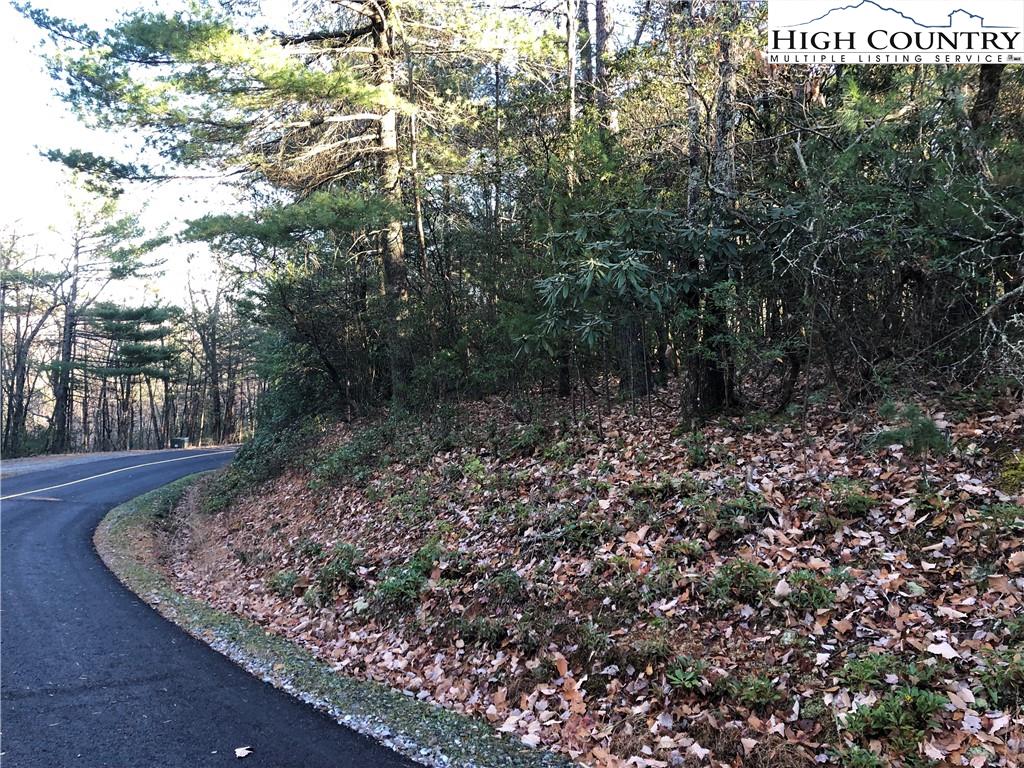 72-73 Buck Mountain Road Purlear, NC 28665 - Photo 20 of 47 a view of a backyard