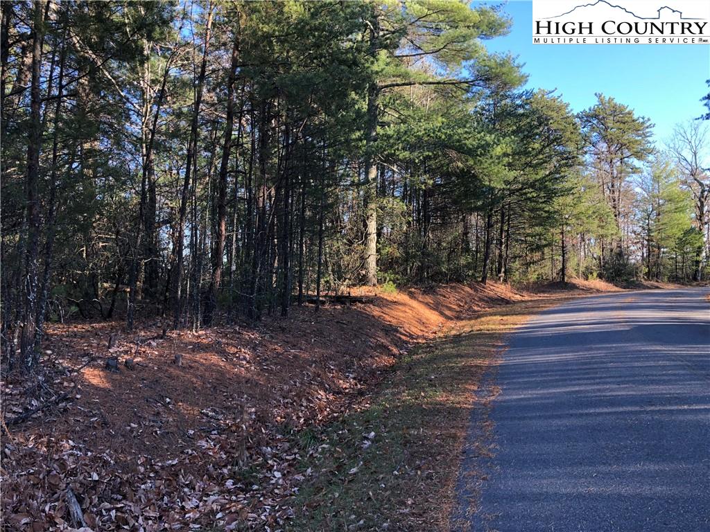72-73 Buck Mountain Road Purlear, NC 28665 - Photo 2 of 47 a view of outdoor space with wooden deck and trees