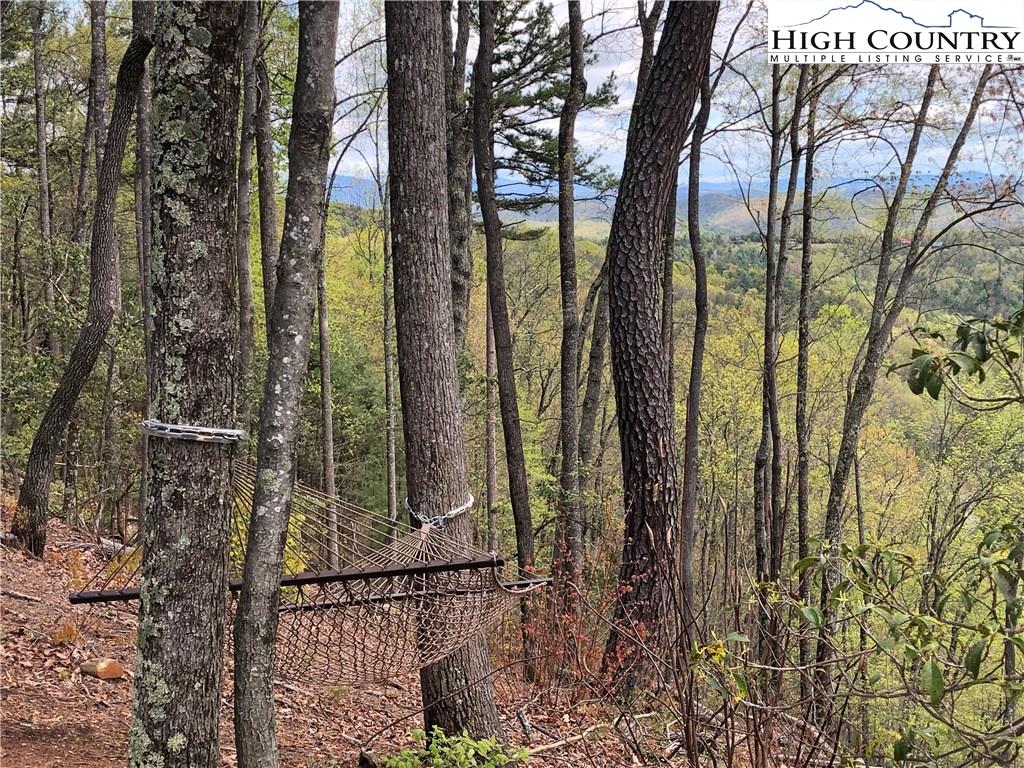 72-73 Buck Mountain Road Purlear, NC 28665 - Photo 23 of 47 a view of a forest from a tree