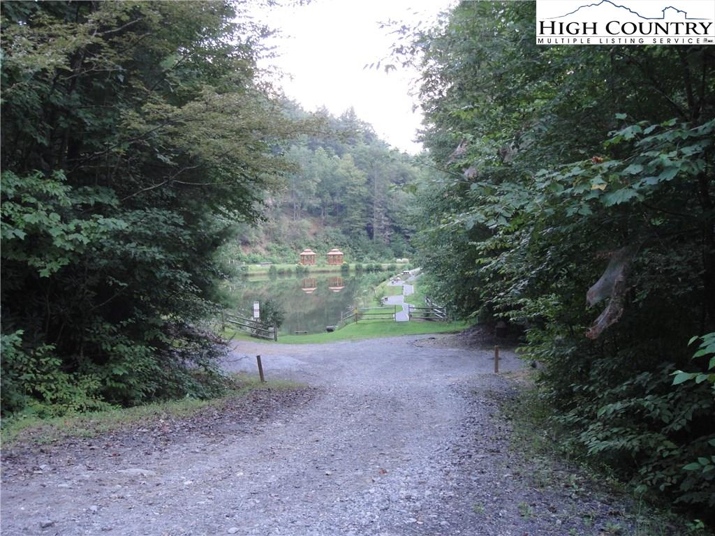 72-73 Buck Mountain Road Purlear, NC 28665 - Photo 28 of 47 a view of a park that has large trees