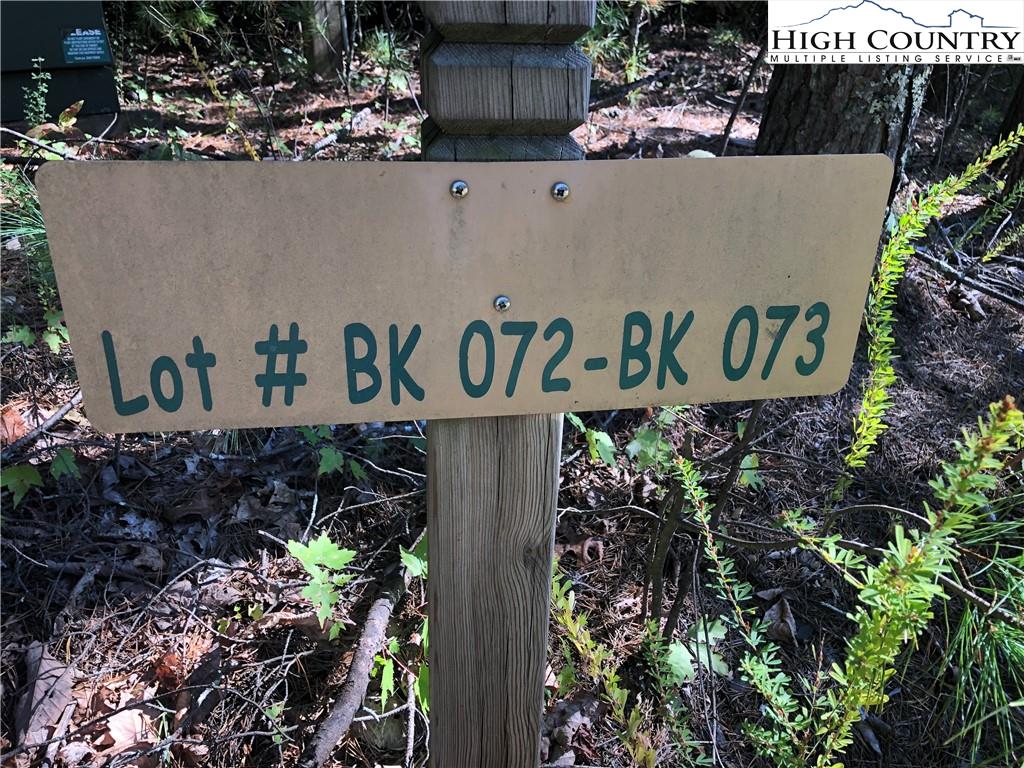 72-73 Buck Mountain Road Purlear, NC 28665 - Photo 4 of 47 a sign that is on a wooden wall