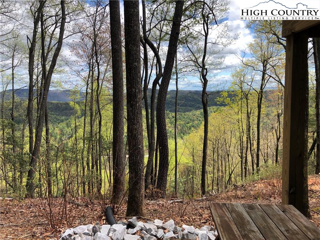 72-73 Buck Mountain Road Purlear, NC 28665 - Photo 44 of 47 a view of a outdoor space