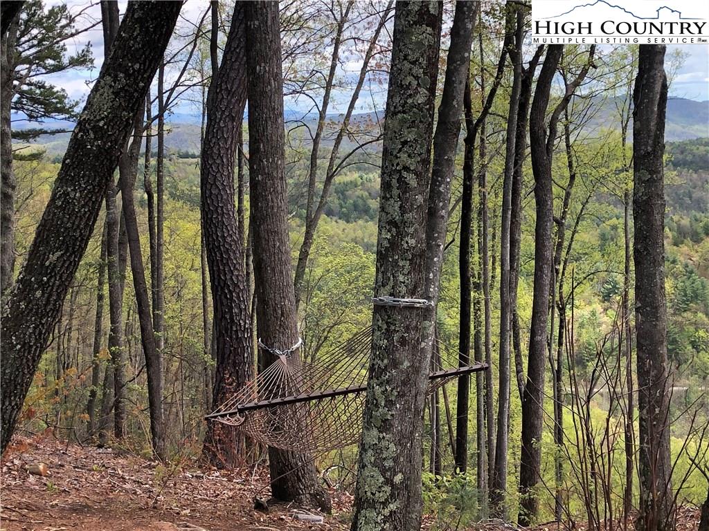 72-73 Buck Mountain Road Purlear, NC 28665 - Photo 47 of 47
