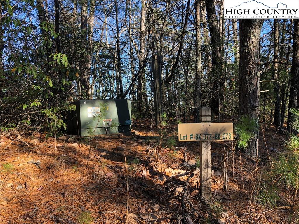72-73 Buck Mountain Road Purlear, NC 28665 - Photo 6 of 47 a view of a outdoor space