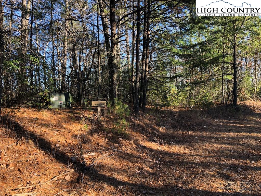 72-73 Buck Mountain Road Purlear, NC 28665 - Photo 7 of 47 a view of outdoor space and yard