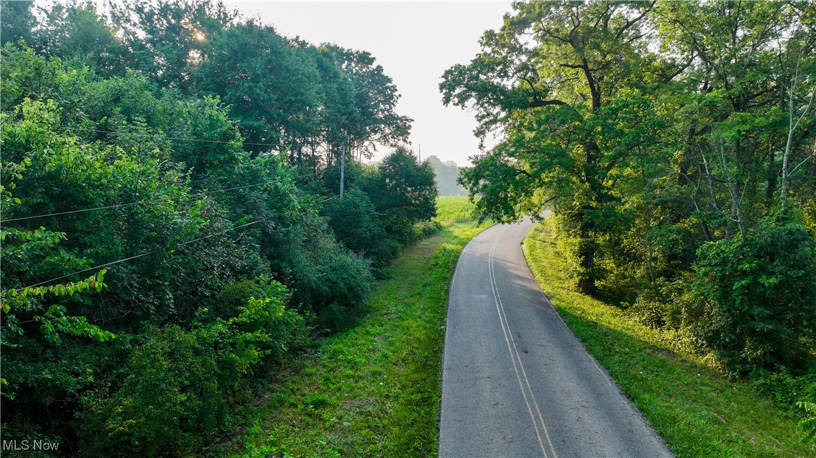 22600 Lexington Road Alliance, OH 44601 - Photo 26 of 39 View of road